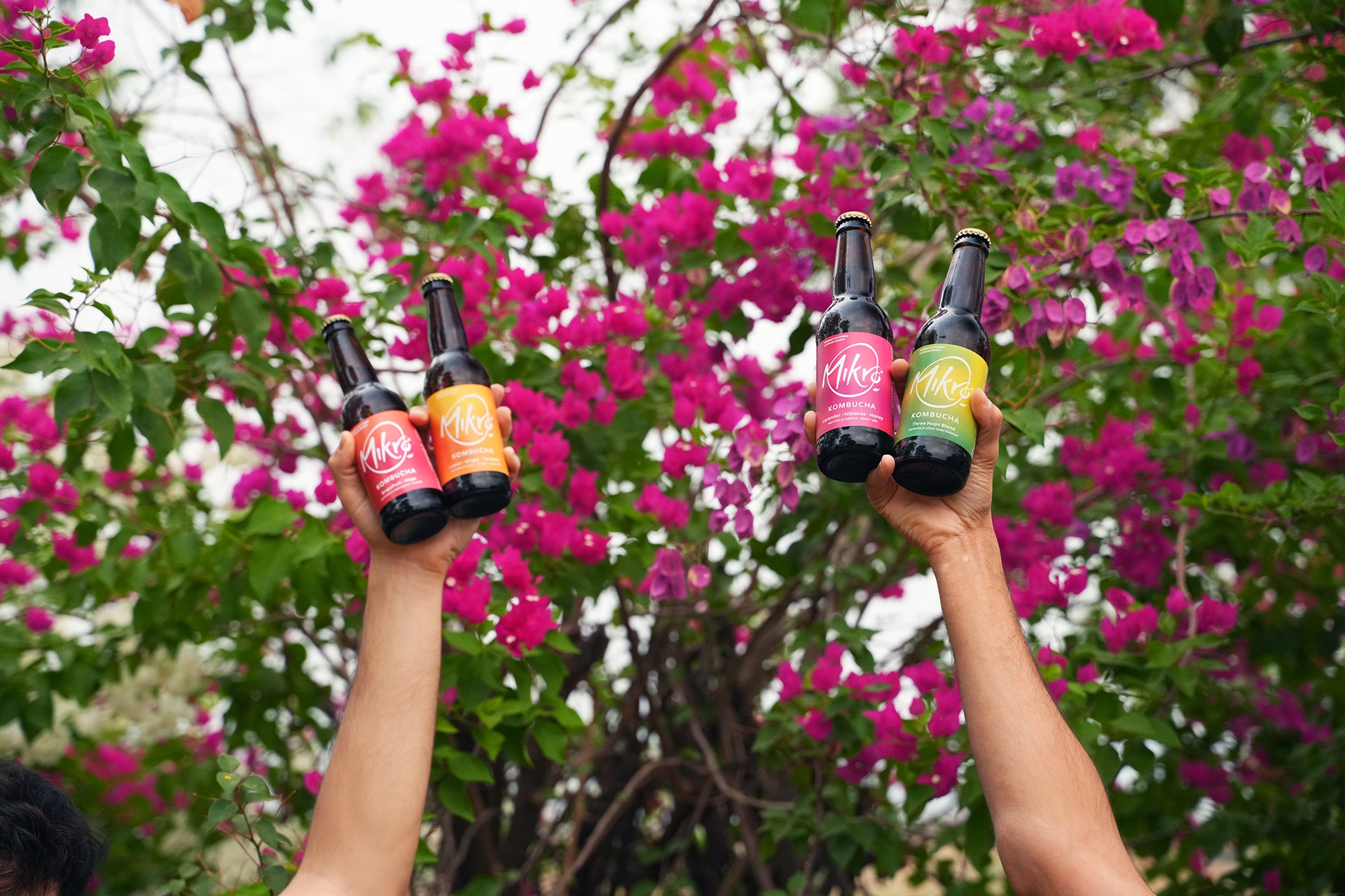 Two hands holding bottles of Mikro Kombucha with colourful labels against a floral background
