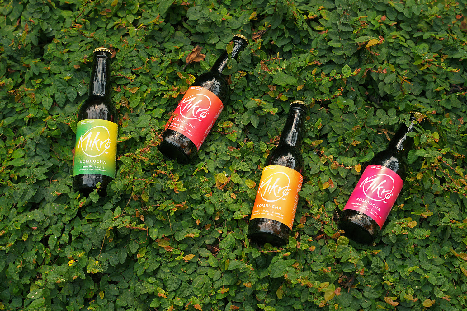 Four bottles of Mikro Kombucha with colourful labels on a green leafy background.